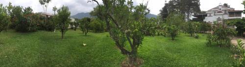 San Ignacio Hotel | Las Tilapias Hotel