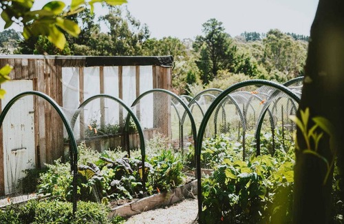 Lauriston House | Lauriston Park Summar