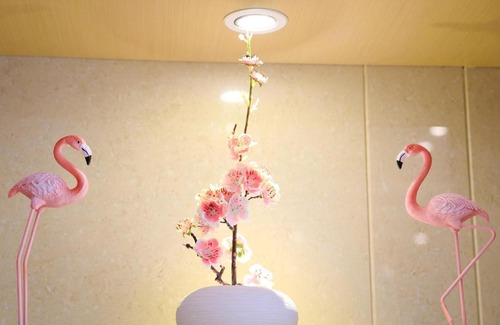 Longhua District Hotel | Lavande Hotels·Shenzhen North Railway Station Longhua Bus Terminal