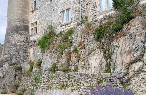 Lussan Apartment | Lavender 2-room apartment in villa 7km from Les Concluses de Lussan