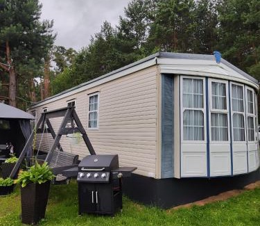 Zbiczno Other | Leśna Cisza w Ładnówku 2