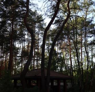 Konstancin-Jeziorna Villa | Leśna SPA Willa pod Warszawą Jacuzzi, Sauna, Kominek, Sport & Joga