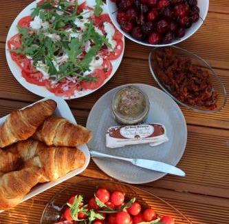 Konstancin-Jeziorna Villa | Leśna SPA Willa pod Warszawą Jacuzzi, Sauna, Kominek, Sport & Joga