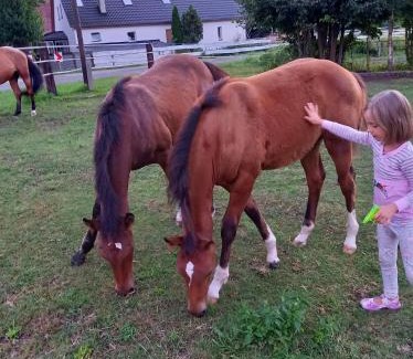 Murow Apartment | Leśniczówka Grabczok