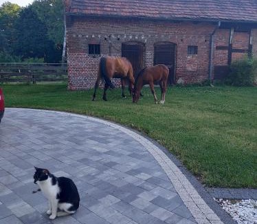 Murow Apartment | Leśniczówka Grabczok