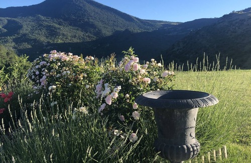 Saint-Andre-les-Alpes House | Le Château de Méouilles, un Lieu Haut de Gamme où Séjourner en Toutes Saisons