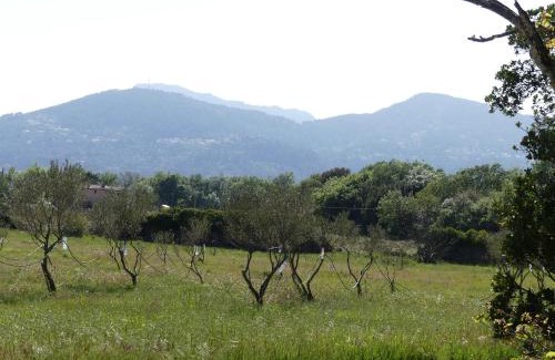 Sollies Pont Bed & Breakfast | Le charme d'une vieille bastide provençale