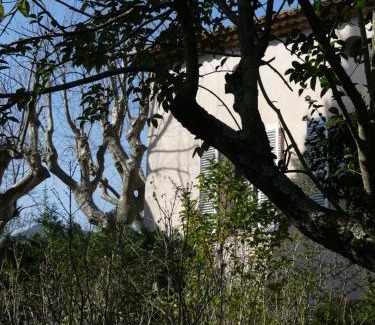 Sollies Pont Bed & Breakfast | Le charme d'une vieille bastide provençale