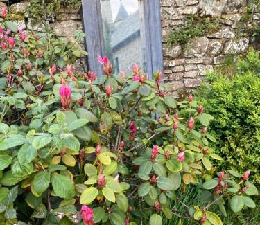 Saint-Patrice-de-Claids Bed & Breakfast | Le Chateau de Claids