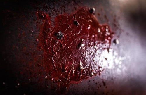 Belfort Apartment | Le Cirque Ensorcelé - Le Studio Maudit & Cosy