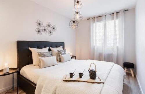 Annecy Apartment | Le Cocon d'Annecy Centre ville avec balcon