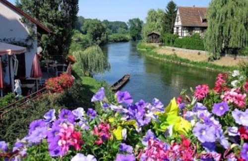 Illhaeusern Apartment | Le Cocon du bord de l'Ill