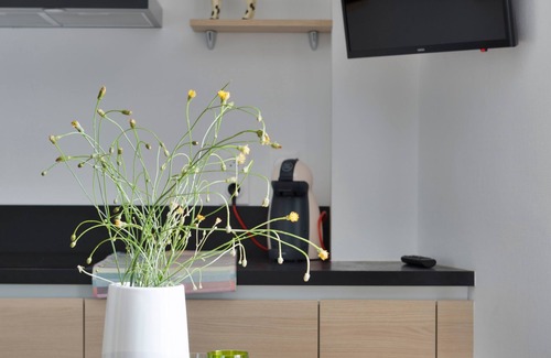 Lanvallay Apartment | LE COTISSOIS - Appartement T2 avec jardin - Lanvallay proche Dinan