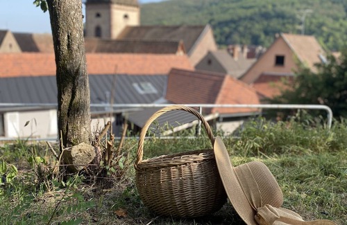 Kaysersberg-Vignoble House | Le Cottage *, 4-bedroom house in the heart of the historic center of Kaysersberg, with parking facilities.