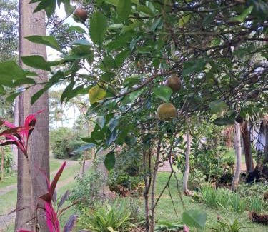 Saint-Philippe Bed & Breakfast | Le four à pain