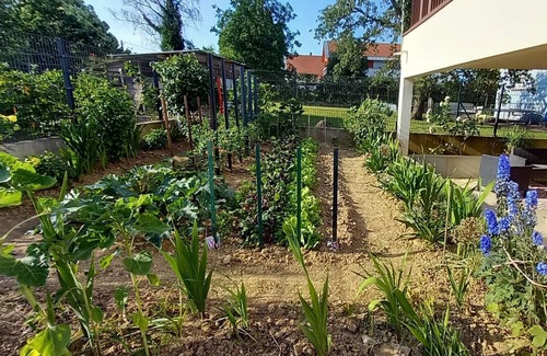 Wingersheim Apartment | Le jardin de Clémentine, a cosy, quiet apartment