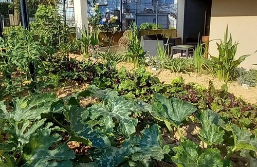 Wingersheim Apartment | Le jardin de Clémentine, a cosy, quiet apartment