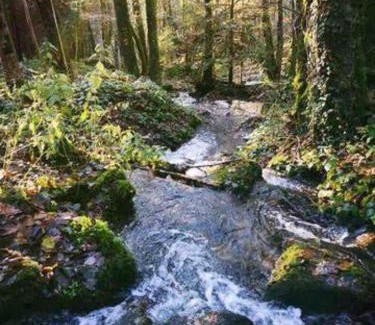 Gedinne Apartment | Le Gîte d'Orpha #2