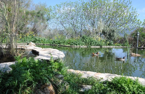 Lugnano in Teverina House | Le Ghiande