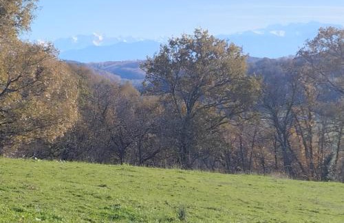 Monein House | Le Gite Ozalée - Domaine Helaku