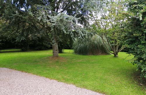 Matignon House | Le Gwez cottage - idyllic place near Matignon (2 km)