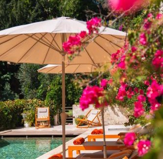 Tarascon Bed & Breakfast | Le jardin des cordeliers