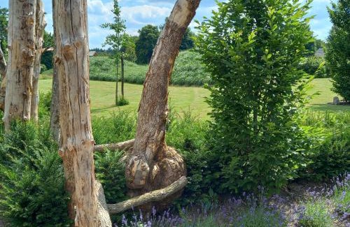 Robertville House | Le jardin des fagnes