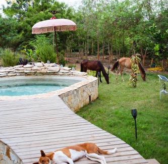 Yenne Tode Other | Le Lodge des papillons - Case Union