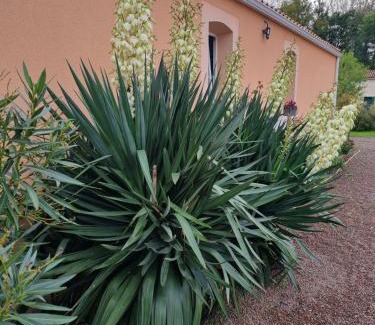 Les Magnils-Reigniers Bed & Breakfast | Le logis du marais