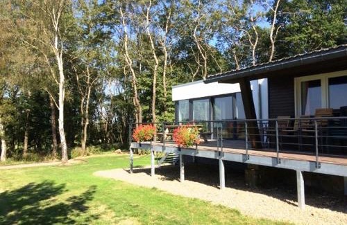 Buetgenbach Ski Chalet | Le Loup Gris - 35 pers - Vue-Wellness, Butgenbach-Malmedy