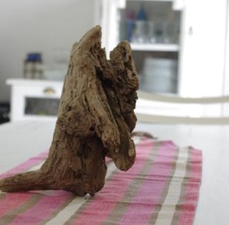 Queyrac House | Le Manoir Lacustre