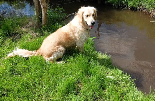 Ruaudin House | LE MANS, ROOM FOR RENT WITH BATHROOM, 10 mins from the circuit, on RUAUDIN