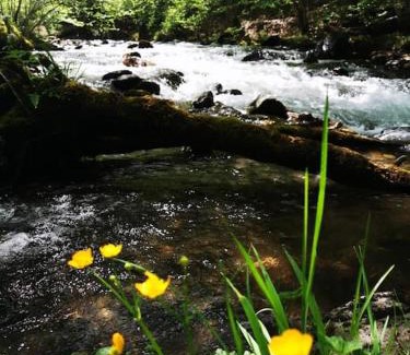 Ustou Ski Chalet | Le Nid de Laly