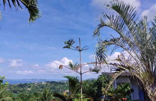 Le Marigot Villa | Le pain de sucre