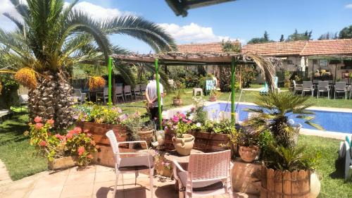 El Alia House | Le petit Olivier