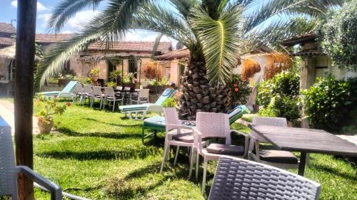 El Alia House | Le petit Olivier