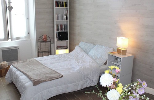 Bourgogne Apartment | Le Petit Orléanais, Entre Histoire et Nature