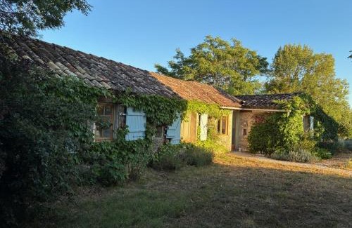 Belveze House | Le Petit Rossignol