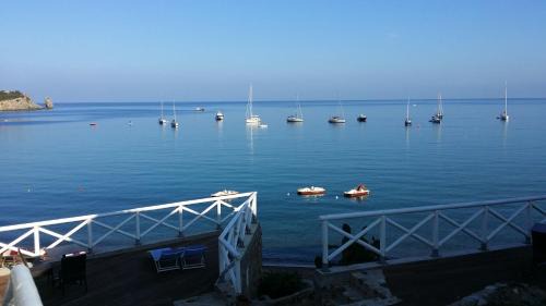 Giglio Campese Bed & Breakfast | Le poste di Simplicio