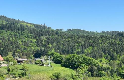 Thannenkirch Apartment | Le repaire des Supers Héros