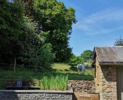 Wellin House | Le repos Ardenne (Fays-Famenne)