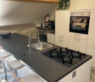 Degagnac Apartment | Le ROSSIGNOL APPARTEMENT MET AIRCO & PRIVE TERRAS