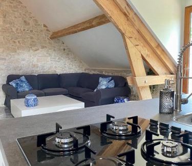 Degagnac Apartment | Le ROSSIGNOL APPARTEMENT MET AIRCO & PRIVE TERRAS