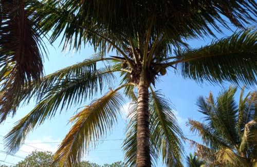 Murud Villa | Le Sancy Beach Villa