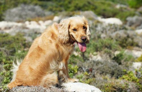 Lefkos House | Lefkorama