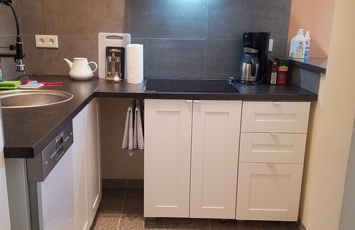 Suedwest Apartment | Leipzig dog/dogs on request; quiet location; garden; near the lake; Belantis