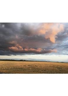 Albã Bed & Breakfast | L‘Embellie