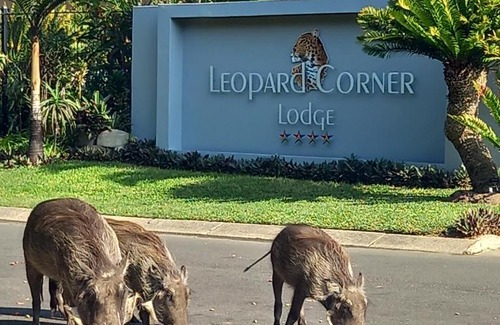 St. Lucia Cabin | Leopard Corner Lodge