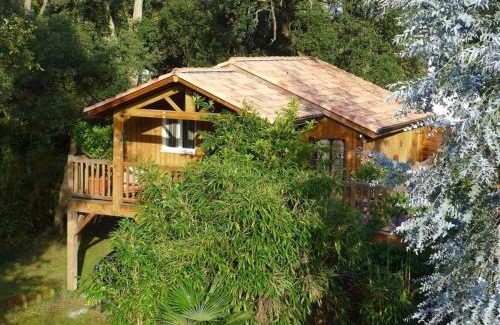 Labenne-Ocean House | Les chats perchés 400m plage D