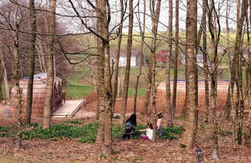 Sainte-Ode House | Les Cocons d'Ardenne - Hébergement insolite